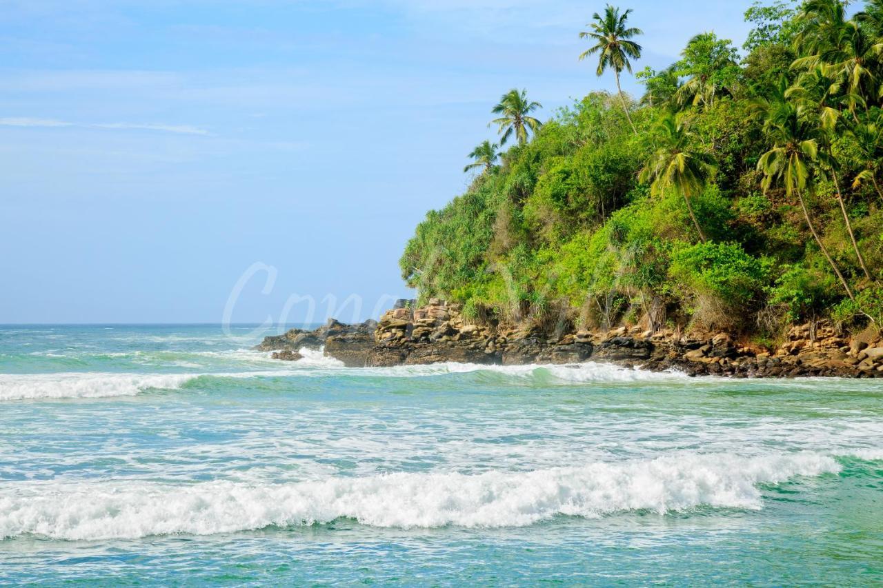 Grand Conch Villa Tangalle Zewnętrze zdjęcie